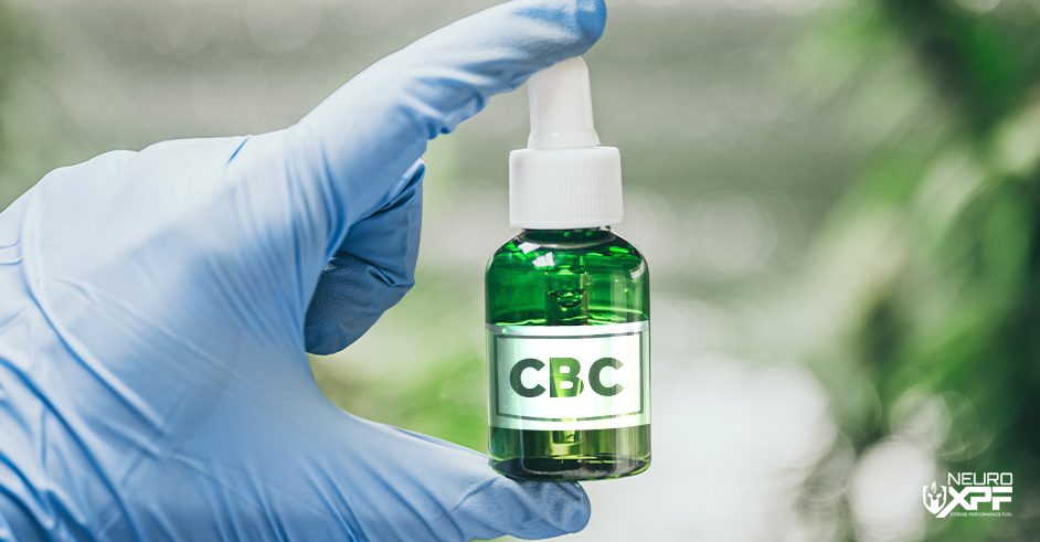 CBC Oil