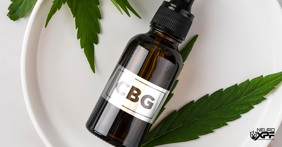 CBG Oil