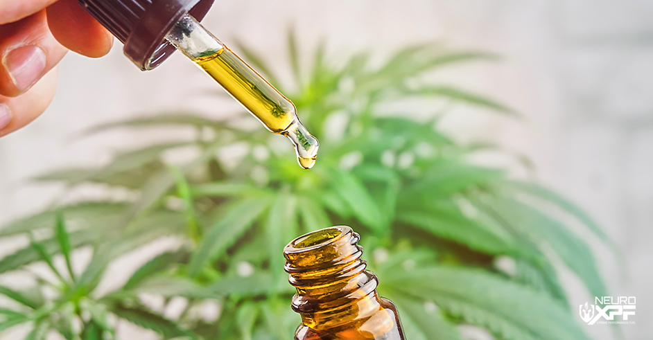 CBD Oil