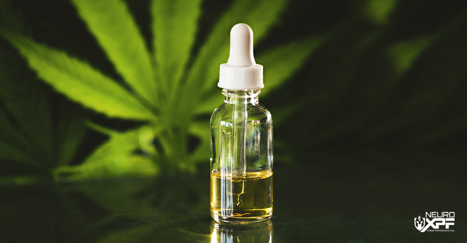 CBD Oil Tincture