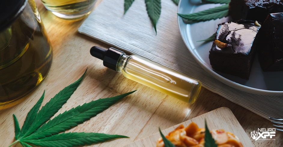 6 Fun Ways to Cook with CBD Oil (With Examples)