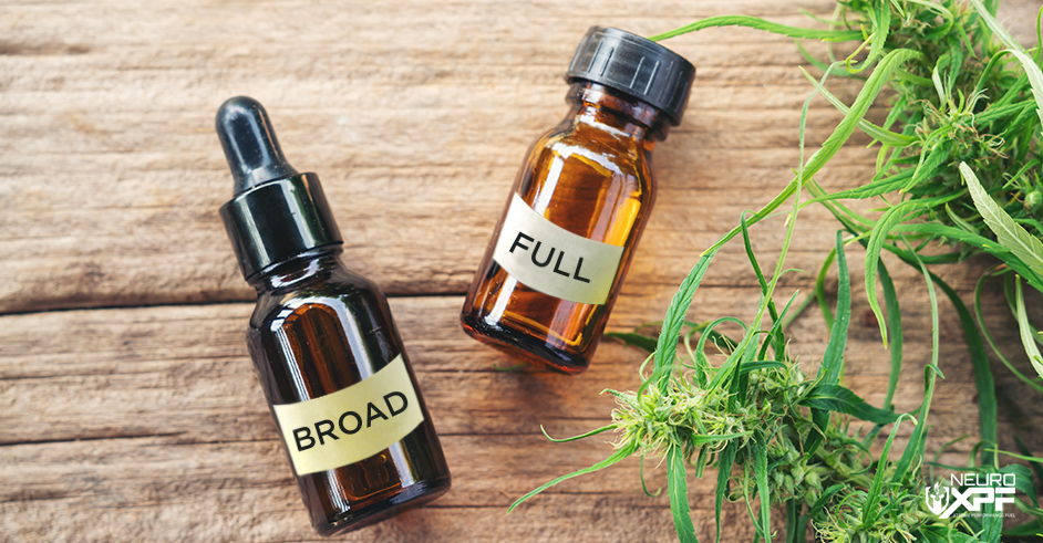 Broad vs. Full Spectrum CBD: What’s the Difference?