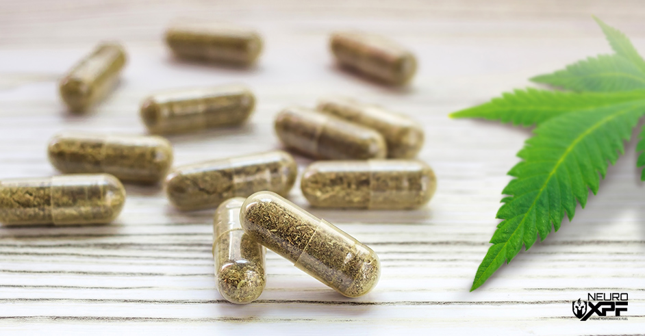 How Long Do CBD Capsules Take to Digest and Absorb?