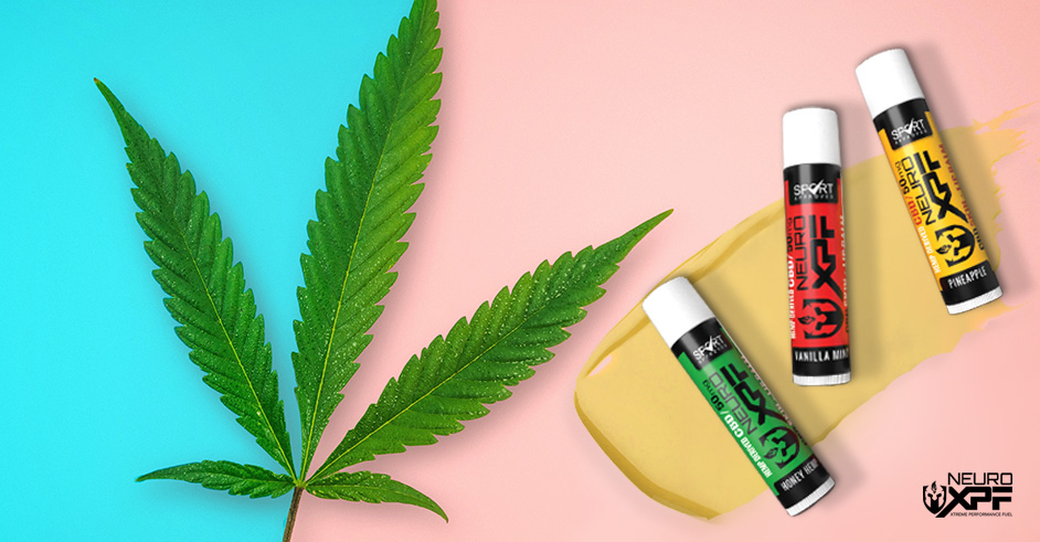 CBD Lip Balm Guide: Benefits, Tips, and Best Practices