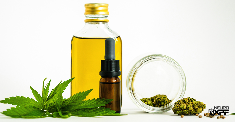 Cannabis Plant Oil