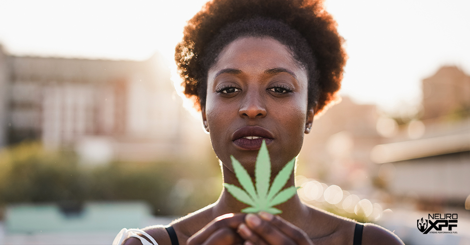 Holding Cannabis Plant