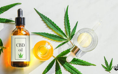What is the Difference Between Cheap and Expensive CBD Oil?