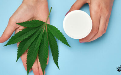 FAQ: Can CBD Creams Actually Help With Joint Pain?