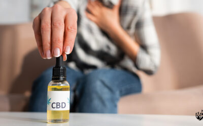 Is It Better to Take CBD in the Morning or Evening?