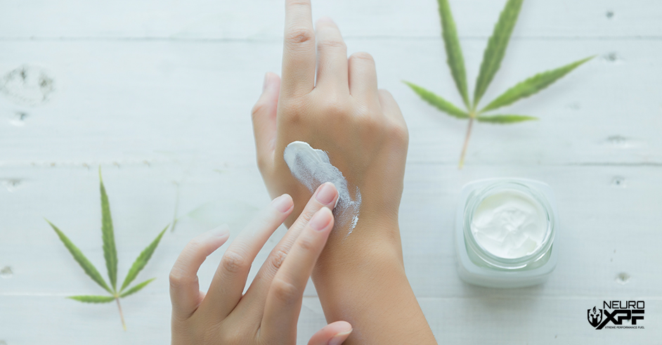 Everything You Need to Know About CBD Muscle Rubs and Creams