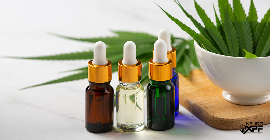 Water-Soluble vs. Oil-Based CBD: What’s the Difference?