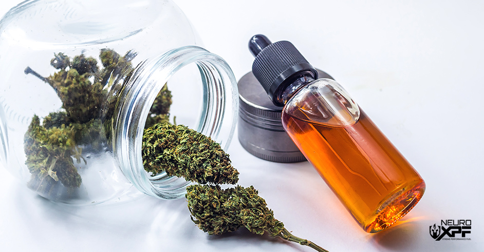 Marijuana and CBD Oil